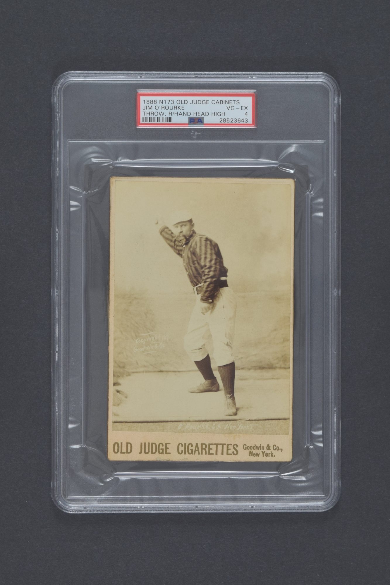 judge baseball auction