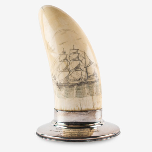 The tooth, which stands 6.5˝ in height, is mounted within a silver base that measures 4.25˝ in diameter and is engraved on the front and back rim: “For General Maxwell Taylor, who served his Country and President Kennedy with such devotion, With love from J.B.K.” and “Scrimshaw from the desk of President John Fitzgerald Kennedy.”